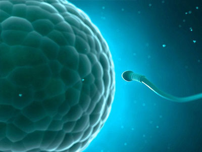 Nếu bạn đang mong có con, đừng quên những điều này trong mỗi lần "yêu"