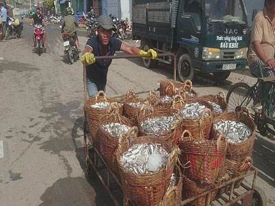 Có một sự thật khác ở Cà Ná