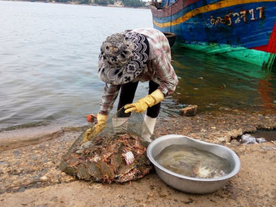 Dân hoang mang sau khuyến cáo "không sử dụng một số loại hải sản"