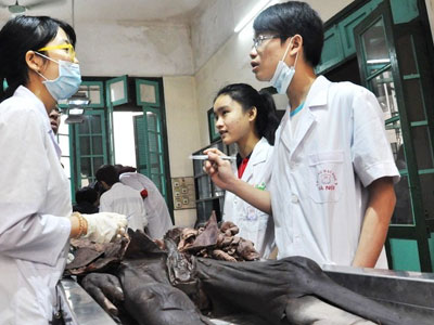 Các trường ĐH Y sẽ rút thời gian đào tạo xuống 4 năm
