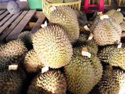 Thuốc thúc chín, bảo quản trái cây: Chưa được cấp phép