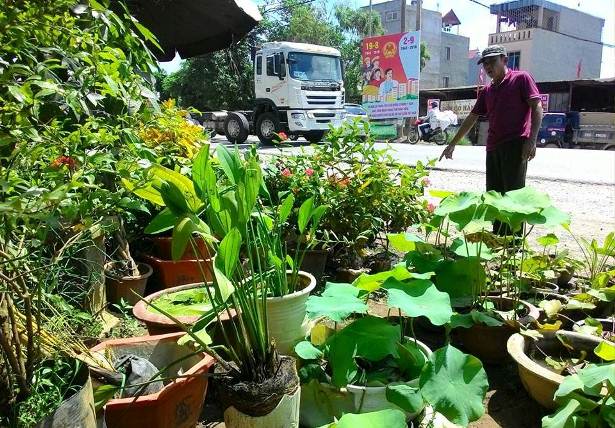 Vụ xe chở tôn tông chết người: Xe đi mượn, tôn chở hộ