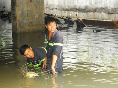 Mưa lịch sử ở Sài Gòn gây thiệt hại hàng trăm tỷ đồng