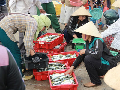 Bộ Nông nghiệp: Không có hải sản "vùng cấm" bị bán ra thị trường