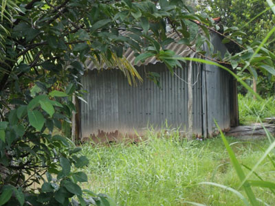 Ảnh bìa bài viết 396067