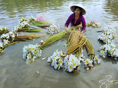 Vẻ đẹp bình dị mà say lòng của An Giang