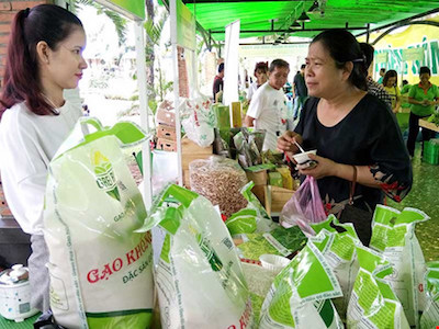 Nhiều lô hàng gạo Việt bị trả về: Khắc phục ra sao?