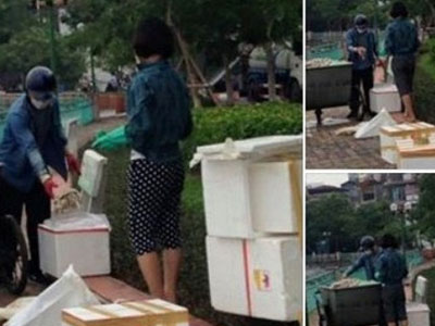 Nghi vấn lấy cá chết Hồ Tây tiêu thụ: Công an vào cuộc điều tra