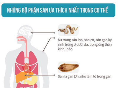 Giật mình với những loại rau, thịt ăn hàng ngày khiến sán làm tổ trong cơ thể