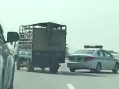 Lái xe chở lợn bỏ chạy đánh võng trên cao tốc Hà Nội - Lào Cai