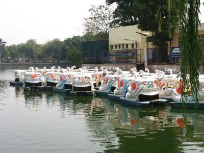 Nữ giáo viên thuê thuyền thiên nga ra giữa hồ tự tử