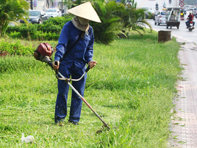 Hà Nội cắt cỏ trở lại sau 3 tháng tạm dừng