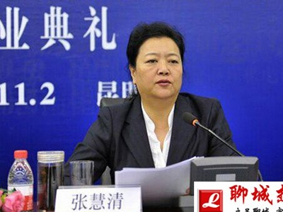 Vợ hai "văn hóa lùn" của cựu bí thư tỉnh lĩnh án tử