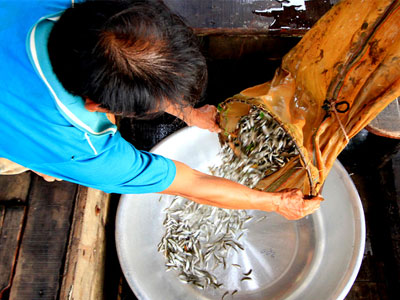 Đặc sản miền Tây khan hiếm vì lũ không về