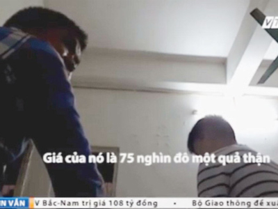 Xâm nhập thị trường mua bán nội tạng người: 75 nghìn đô một quả thận