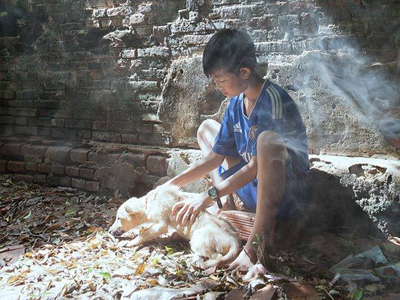 Bức ảnh chú chó bị ốm ra sau nhà để không làm phiền chủ khiến bạn phải rơi nước mắt