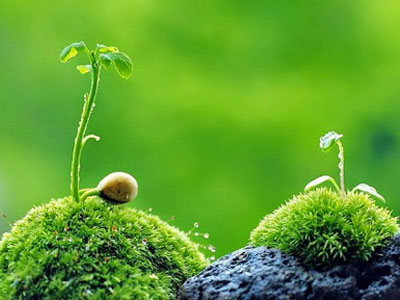 Tử vi thứ năm ngày 13/10 của các cung hoàng đạo