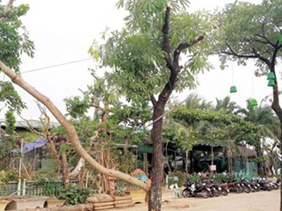Mỹ Đình "vỡ trận" vì làm kinh tế