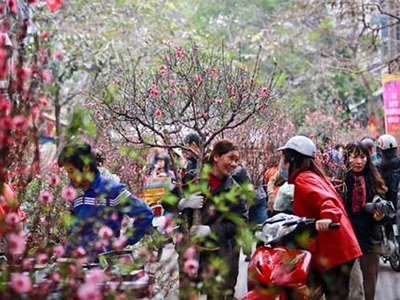 Hai phương án nghỉ Tết Âm lịch 2017