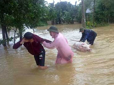 Thủy điện Hố Hô xả lũ gây ngập: "Cơ quan chức năng không thể vô can"