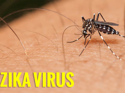 TPHCM công bố dịch Zika