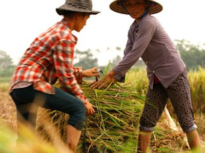“Chạy đua” cùng bão số 7