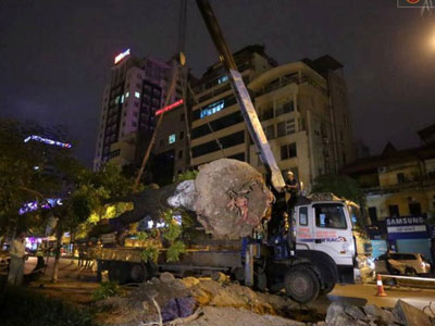 Công nhân trắng đêm di dời hàng cây xà cừ trên đường Kim Mã