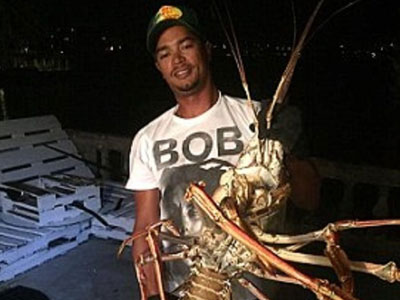 Ngư dân bắt được tôm hùm khổng lồ