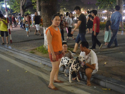 Hà Nội cấm chó không rọ mõm vào phố đi bộ quanh Hồ Gươm