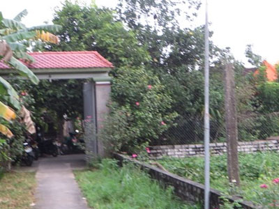 Ảnh bìa bài viết 402315