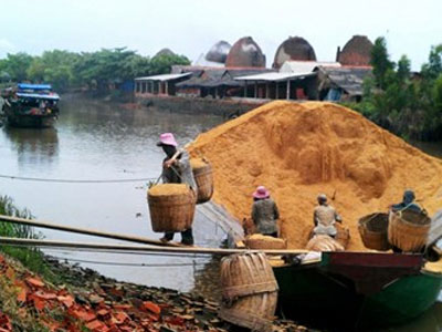 Người trồng lúa sắp có 240 triệu USD từ việc bán trấu