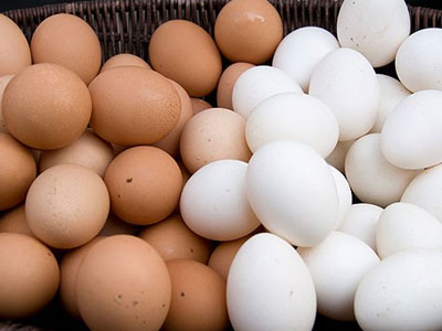 Sự khác nhau giữa trứng gà trắng và nâu