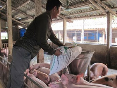 Ám ảnh chất tăng trọng đến bao giờ?
