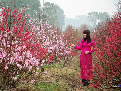 Nghỉ Tết quá dài là... "tai hại"
