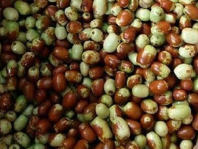 Táo tàu Hàn Quốc xách tay, đắt đỏ vẫn cháy hàng