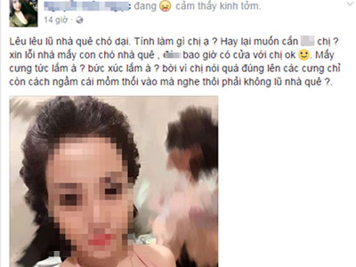 Facebook & hệ lụy: Chợ văng tục, chửi bậy