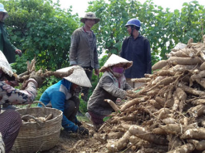 Giá 60 kg mì = 1 tô phở