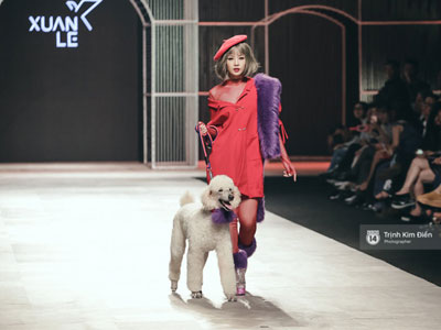 Chi Pu kiêu kì "dắt cún" trình diễn thời trang trên sàn diễn VIFW