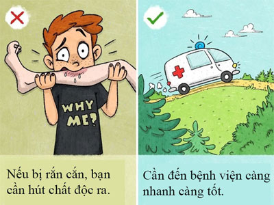 Những mẹo sinh tồn ai cũng tưởng đúng hóa sai
