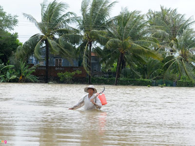 Tang thương vùng lũ Phú Yên