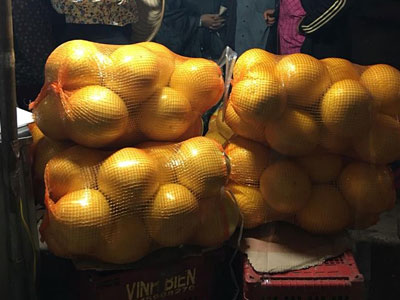 Bưởi lạ vàng bóng: Hàng Tàu đấy...
