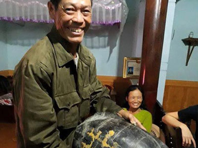 Đi hái rau muống phát hiện rùa “khủng”