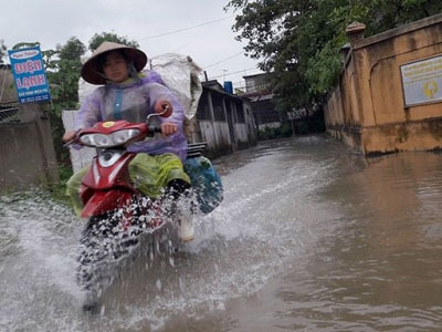 Nghệ An: Mưa lớn, học sinh nghỉ học, dân mang vợt ra bắt cá