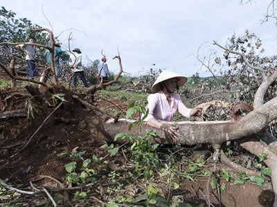 Vụ nổ súng ở Đắk Nông: “Phải cung cấp thông tin về Long Sơn nếu Bộ CA yêu cầu”