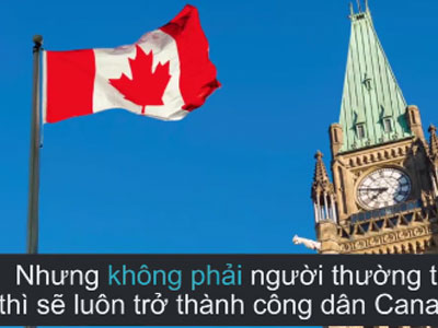 Clip: Dân Mỹ rục rịch tìm cách sang Canada định cư