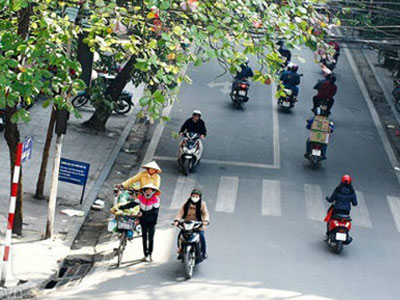 Dự báo thời tiết hôm nay (12.11): Miền Bắc đang ấm dần lên