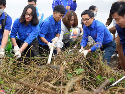 Phó thủ tướng Vũ Đức Đam cùng sinh viên dọn rác