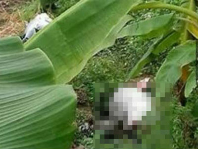 Bàng hoàng phát hiện thi thể cô gái trẻ trong bụi cỏ