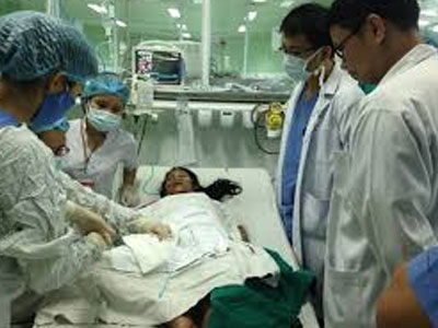 Nữ giáo viên nguy kịch vì bị ong vò vẽ đốt gần 100 mũi
