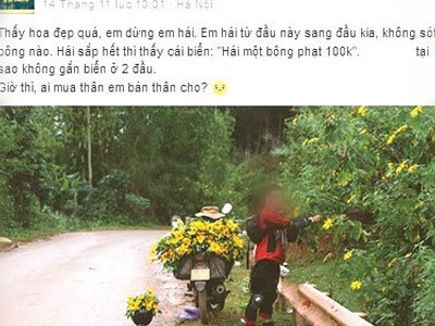 Nam phượt thủ khoe ảnh hái hết hoa dã quỳ trên đường